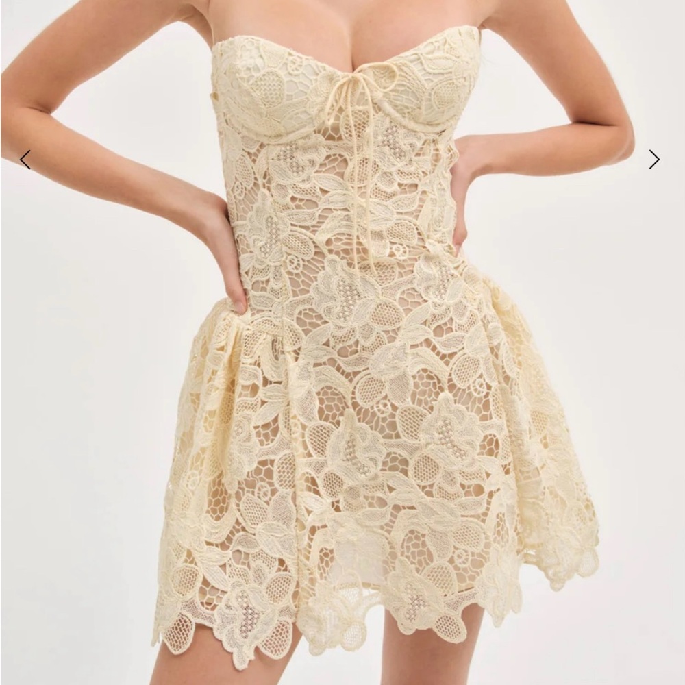 Coco Lace Sleeveless Mini Dress